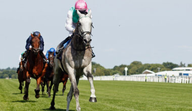 Field Of Gold to Skip York as Team Prioritizes Recovery