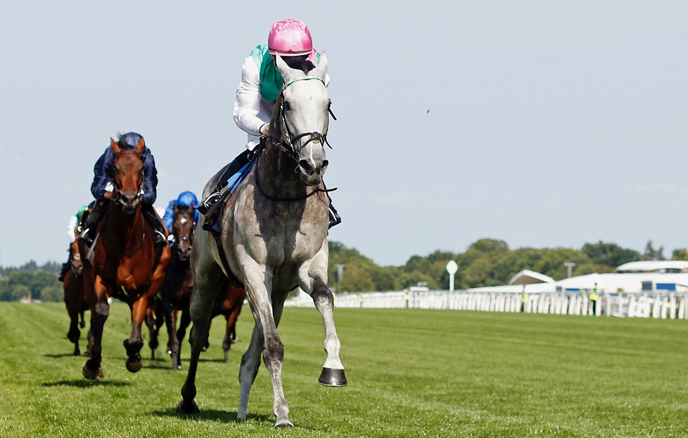 Field Of Gold to Skip York as Team Prioritizes Recovery