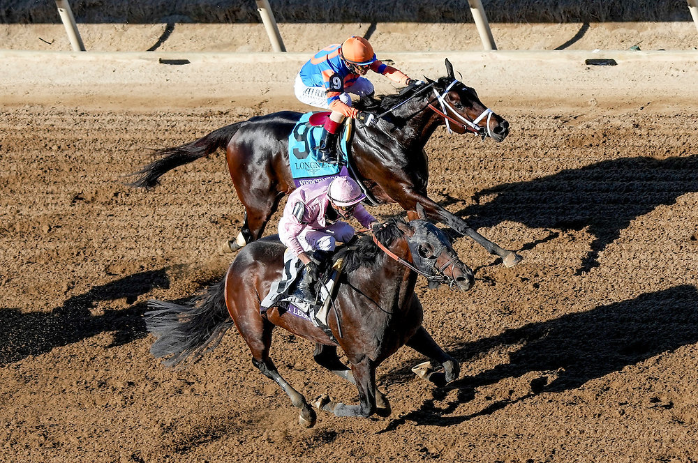 Fierceness and Sierra Leone Headline Star-Studded Whitney at Saratoga