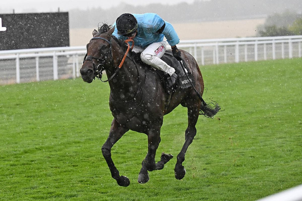 Merchant Steps Up in Class and Battles to Gordon Stakes Triumph at Goodwood