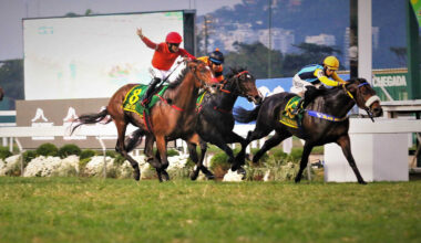 The 2025 Latinoamericano at Gávea Promises to Shine… and Not Just Because of the Horses