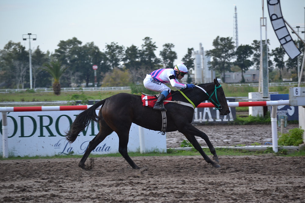 No Rest for Elenika as She Targets the Clásico Diego White