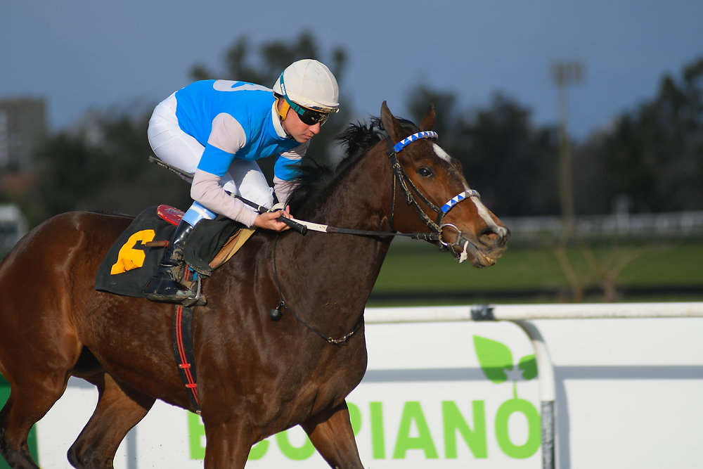 Pecadora Joy Snaps the Spell Over a Mile in Handicap Cipayo