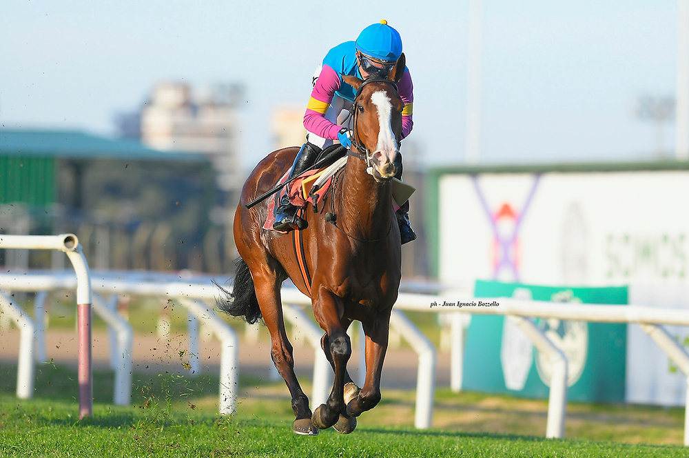 Romana Craf and Coro de Rojas Aim to Shine on the San Isidro Turf