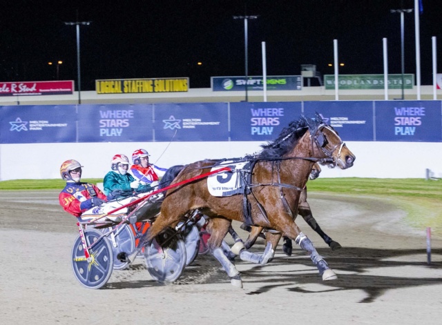 Afternoon Breeze and Tracy The Jet shine in trot features