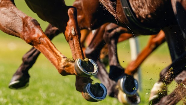 Racing heads to Goulburn on Sunday for an eight-race program.