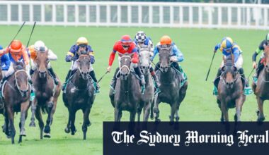 Racing NSW email blunder exposes financial status of high-profile horse trainers