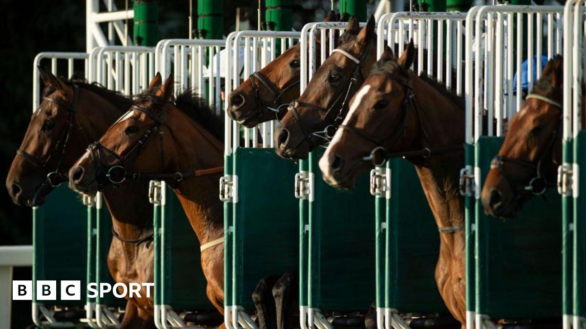 Horses in the stalls for a race at Windsor racecourse