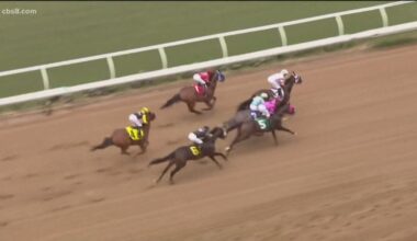 3-Year-Old Horse Dies at Del Mar Race Track