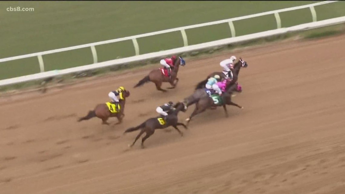 3-Year-Old Horse Dies at Del Mar Race Track