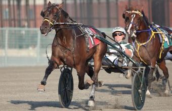 Burke enters Chapter Seven colts in $108,300 NYSS at Batavia Wednesday – U.S. Trotting News