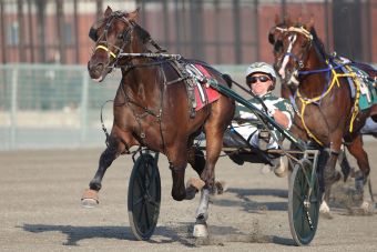Burke enters Chapter Seven colts in $108,300 NYSS at Batavia Wednesday – U.S. Trotting News