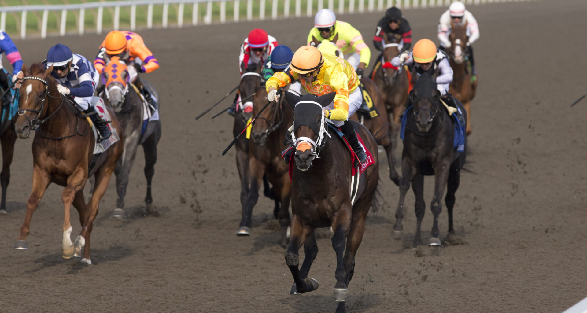 Mansetti magnificent in King’s Plate