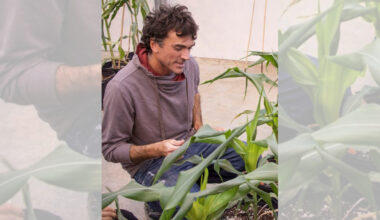Scientists Uncover DNA Secrets to Bolster Corn Crop Traits