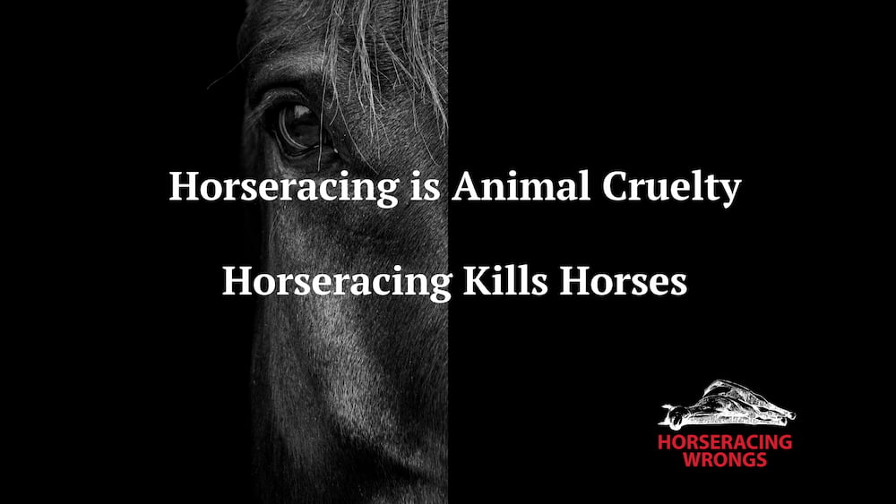 1 of 11 Kills (Including 3 in Same Race) in New Mexico: "Horse was hit with force on each side by [other] horses: ruptured suspensory, fractured sesamoid." (Two Years Old)