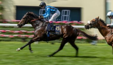 ‘Visually she looked outstanding’ - Asfoora bidding to roar back to form at York