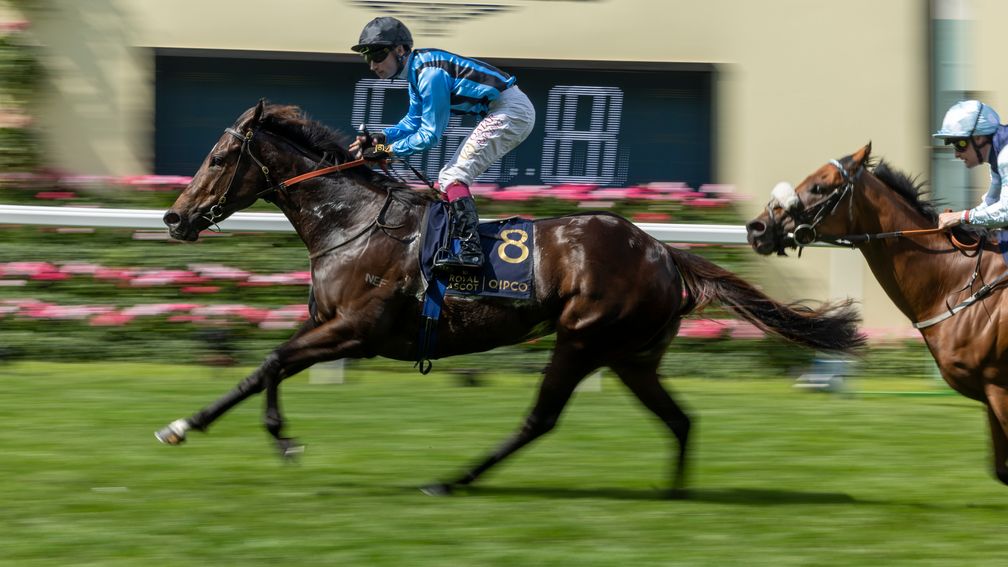 ‘Visually she looked outstanding’ - Asfoora bidding to roar back to form at York