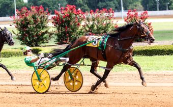 Brandon Blvd seeks to remain undefeated at The Red Mile – U.S. Trotting News
