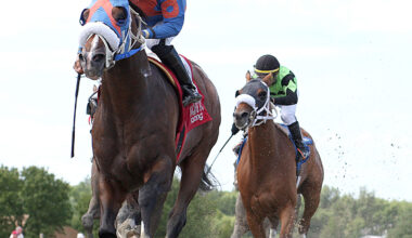 Buccherino Impressive Winner of the State Representative's Sprint