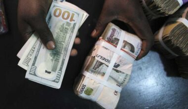 CBN floats naira at investors’ forex window