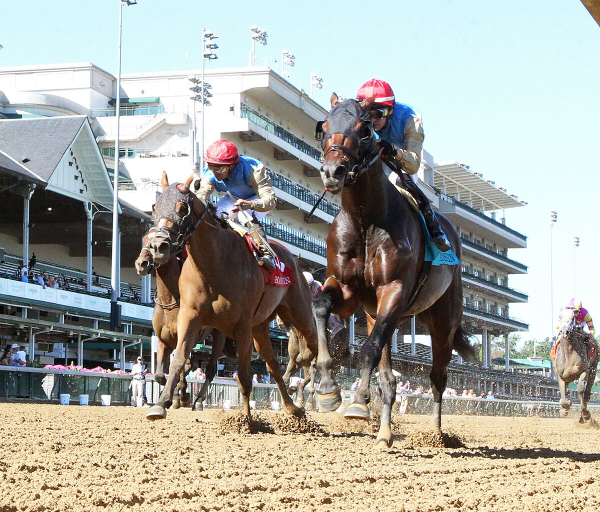 Cagliostro Favored in Friday Allowance Optional Claiming at Saratoga
