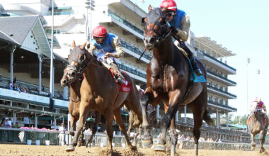 Cagliostro Favored in Friday Allowance Optional Claiming at Saratoga