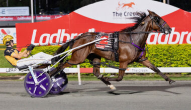 Spotlight On: Tom Callaghan :: Racing Queensland