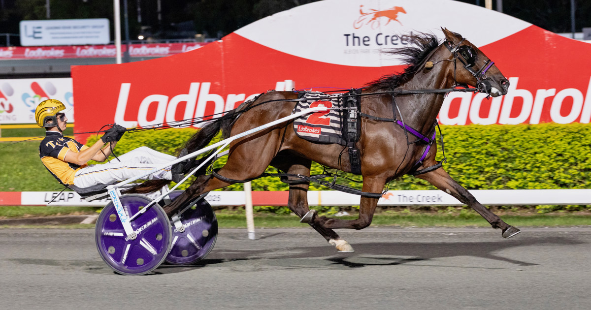 Spotlight On: Tom Callaghan :: Racing Queensland