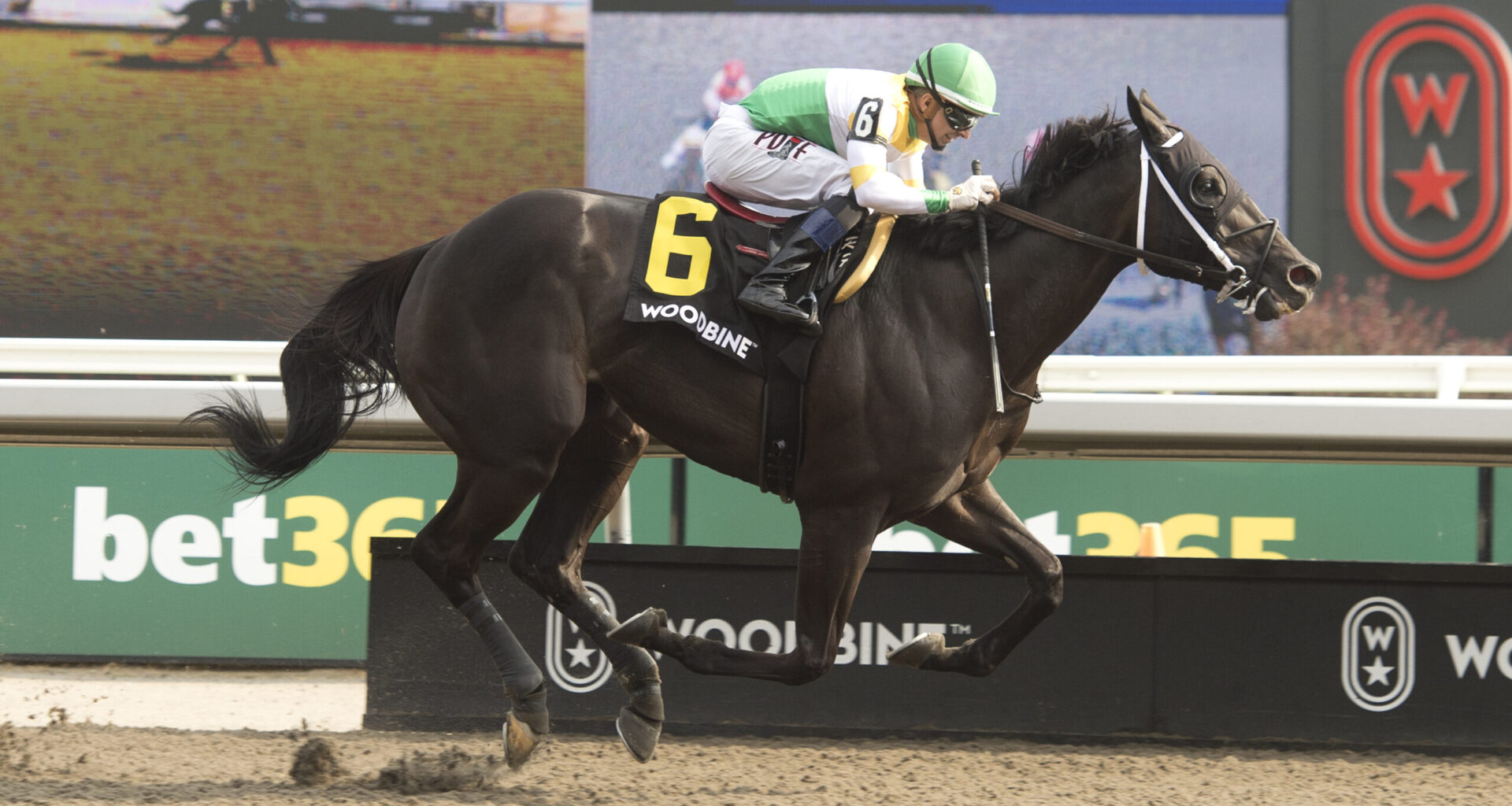 Simcoe is simply dominant in Grade 3 Bold Venture