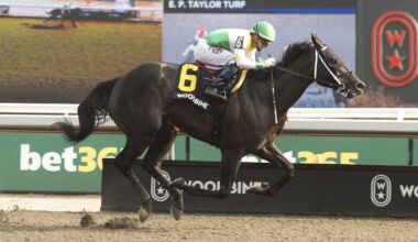 Simcoe is simply dominant in Grade 3 Bold Venture