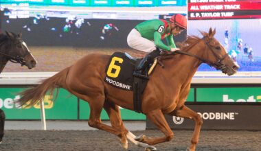 Elysian Field and jockey Sahin Civaci winning the Maple Leaf Stakes (G3) on November 9, 2024 at Woodbine (Michael Burns Photo)