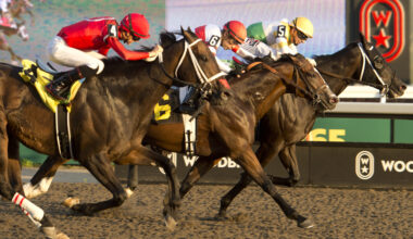 Vassilieva says Bold Venture’s 6½ furlongs the perfect distance for her trainee Simcoe