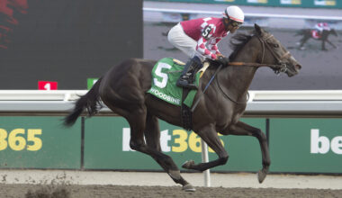 Great eight: Winterberry gives both Casse and Husbands their eighth Bison City wins