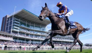 Wednesday Racing Tips: Best Bets & Horse Racing Odds For Ebor Festival Day One
