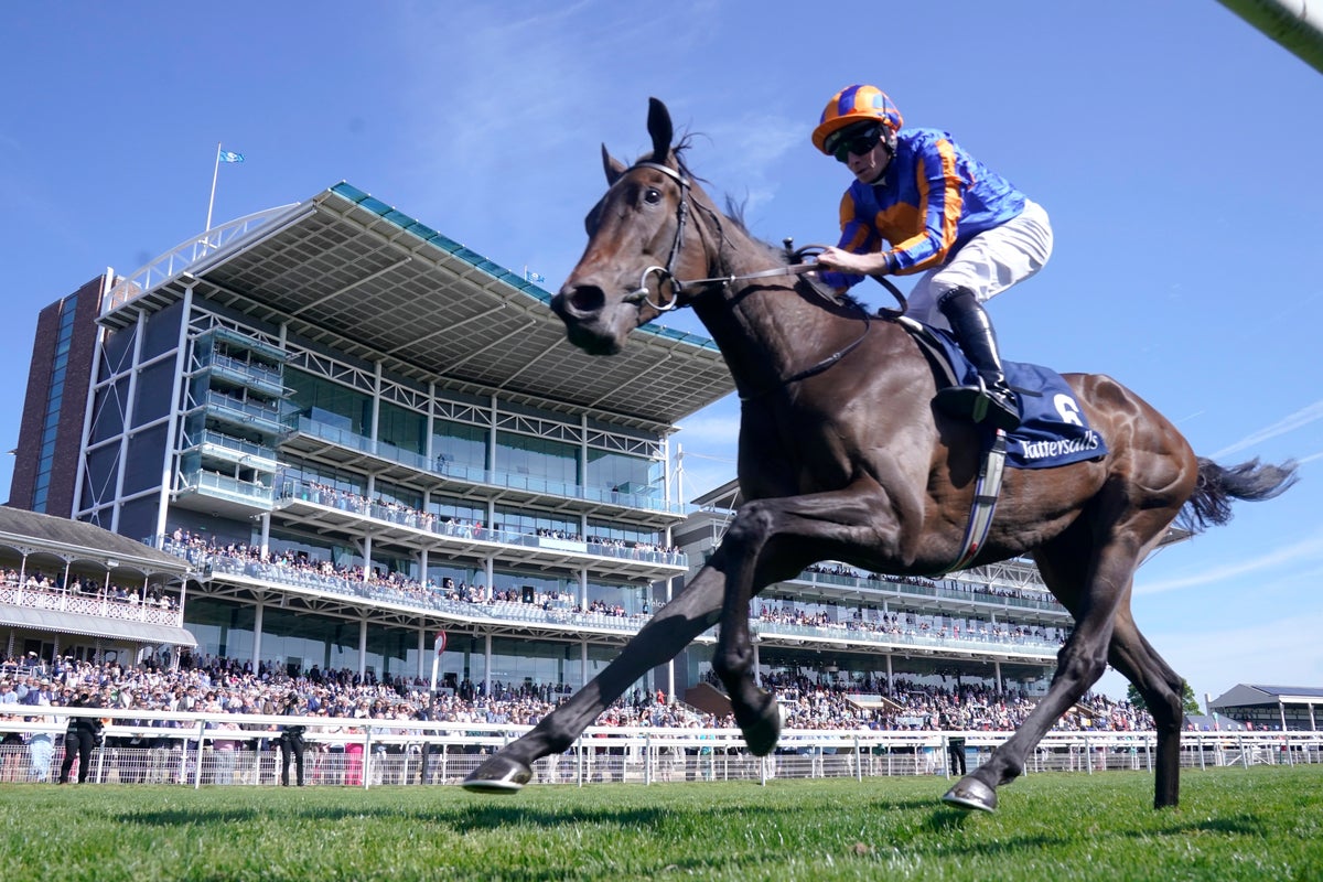 Wednesday Racing Tips: Best Bets & Horse Racing Odds For Ebor Festival Day One