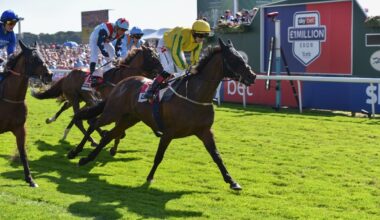 Record broadcasters for Sky Bet Ebor Festival