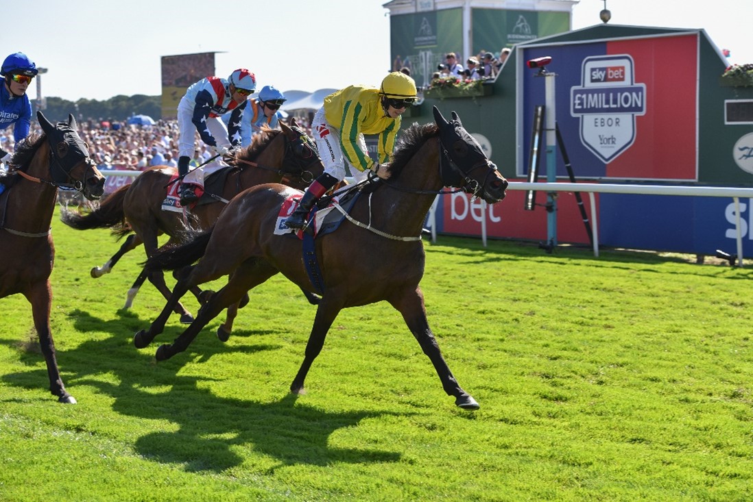 Record broadcasters for Sky Bet Ebor Festival