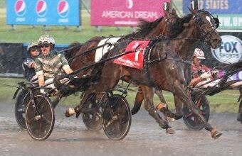 Karl to stand first season at stud in 2026 – U.S. Trotting News