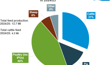 Feed production GB 2024/25