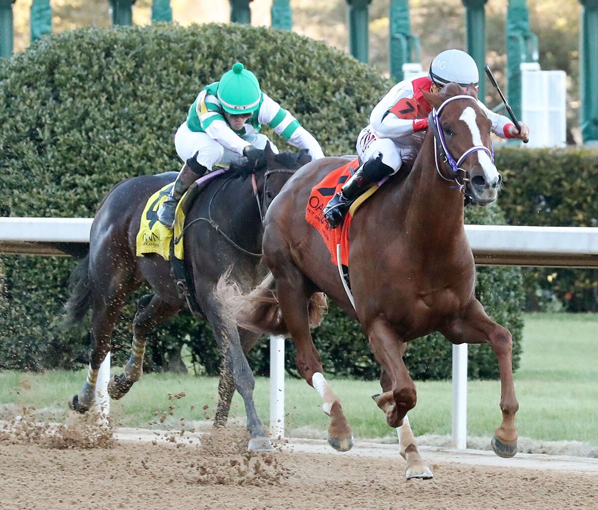 Florida-breds G W’s Girl, Decadent, Fede Set for Competitive Tyson Gilpin Stakes