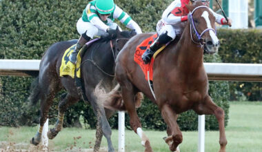 Florida-breds G W’s Girl, Decadent, Fede Set for Competitive Tyson Gilpin Stakes