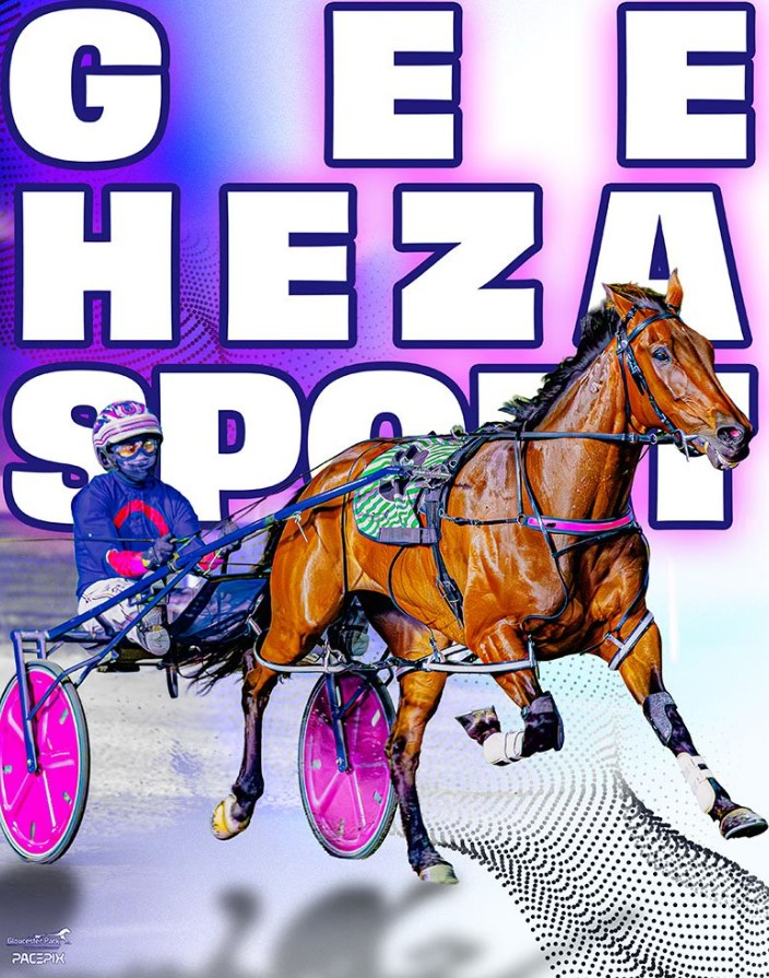 Gloucester Park Harness Racing