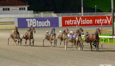 Newcomer Cashout Fancied - Gloucester Park Harness Racing
