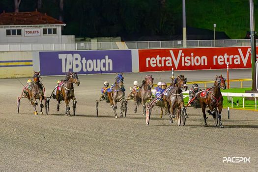 Newcomer Cashout Fancied - Gloucester Park Harness Racing