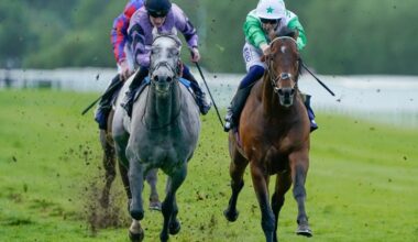 No Secret to Folio’s chances in Great St Wilfrid at Ripon