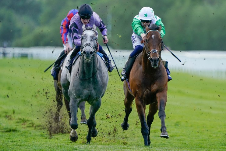 No Secret to Folio’s chances in Great St Wilfrid at Ripon