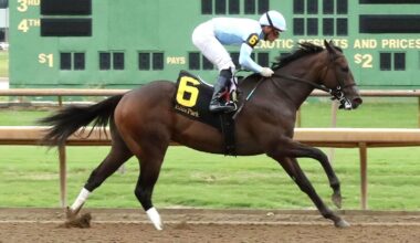 Maxfield Colt Just Asap Sparkles On Ellis Debut