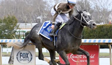Maryland-bred horse Post Time to take 'big swig' in Whitney Stakes