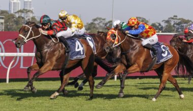 Waller reveals plans with Group 1 stars