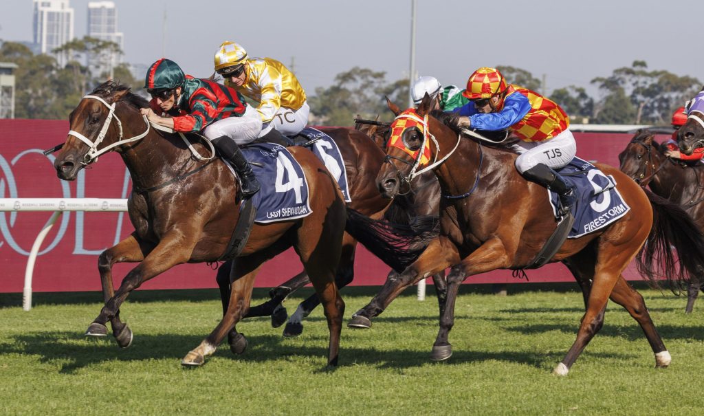 Waller reveals plans with Group 1 stars